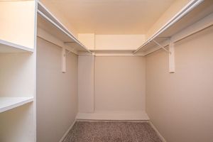 vacant walk-in closet with carpet