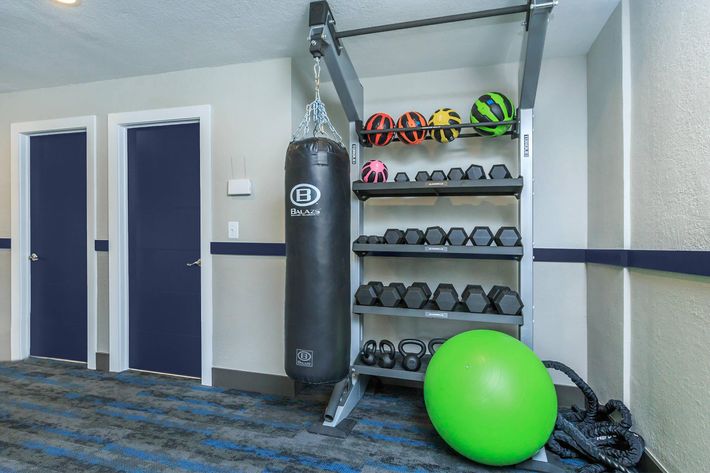 Fitness Center at Latitude Pointe Apartments in Boynton Beach, Florida