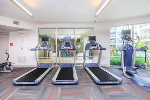 treadmills in the community gym
