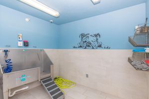 dog shower in the pet wash room
