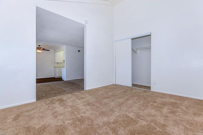 Carpeted room with open sliding closet doors
