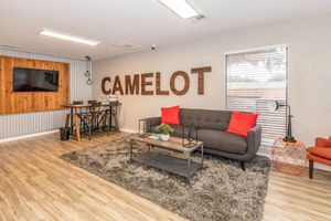 Cozy living room area featuring a gray sofa with red cushions, a wooden coffee table, and a decorative rug. The wall displays the word "CAMELOT" in large wooden letters. A flat-screen TV is mounted on the wall, and there are stylish accents like plants and a modern chair, creating a welcoming atmosphere.