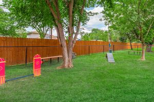 A vibrant outdoor space featuring green grass, two large trees, a wooden fence in the background, and a pet agility setup. There are benches and an inclined ramp for training, surrounded by a well-maintained grassy area, creating a welcoming environment for pets and their owners.
