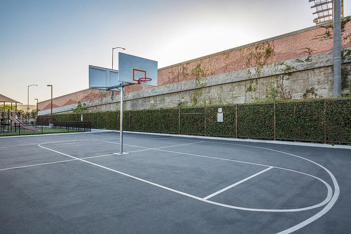 Canyon Village Apartment Homes basketball courts