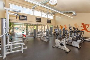 A spacious gym with various exercise equipment, including weight machines and stationary bikes, set in a well-lit area with large windows. There are two televisions mounted on the wall and a decorative mural of runners. The floor is covered in black rubber matting, creating a modern workout environment.