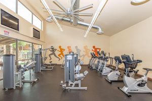 A well-lit gym featuring various exercise equipment, including ellipticals, weight machines, and stationary bikes. The walls are adorned with silhouettes of runners, and large windows provide natural light, creating a vibrant workout environment.