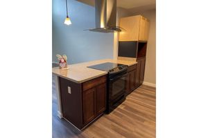 A modern kitchen featuring dark wood cabinets, a black stove with a glass cooktop, and a light-colored granite countertop. Above the stovetop, there's a sleek stainless steel vent hood. One wall has a tall wooden storage unit, and the space has a contemporary design with warm wooden flooring.