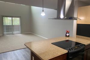 A modern kitchen with a countertop and an integrated stovetop, facing a spacious living area. The living area features a large window with vertical blinds and carpeted flooring. A pendant light hangs above the kitchen area, and there is a decorative flower arrangement on the countertop.