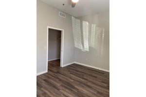 A bright, empty bedroom with light gray walls and wood-style flooring. The room features a single door leading to a closet and a ceiling fan. Sunlight streams through the window, casting shadows on the wall, creating a warm and inviting atmosphere.