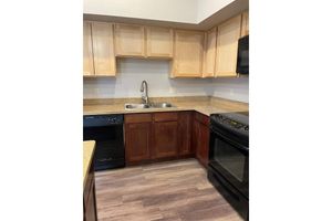 A modern kitchen featuring light wooden cabinets, a granite countertop, a double sink with a sleek faucet, and black appliances including a dishwasher, stove, and refrigerator. The flooring is a dark laminate, adding contrast to the light cabinetry. The space is well-lit and organized for functional use.