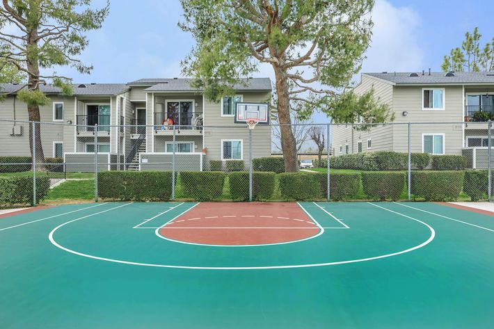 Orchard Park Apartments basketball court