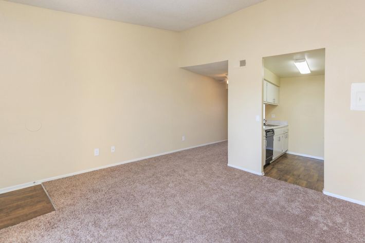 Vacant living room with carpet