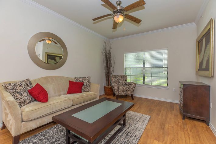 CEILING FAN IN SPACIOUS APARTMENT FOR RENT