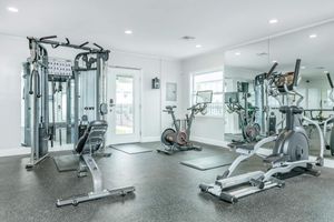 A modern gym featuring a multi-gym machine, an upright exercise bike, an elliptical machine, and a bench, all set on a black rubber floor. Large mirrors line one wall, and natural light streams in through a door, creating a bright and inviting workout space.