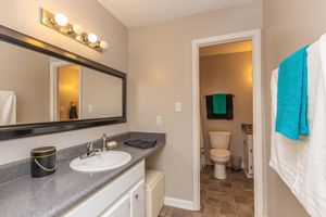 Bathroom with Large Vanity - Lakeside Place Apartments - Greenville - South Carolina