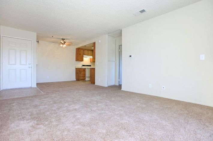Carpeted living room
