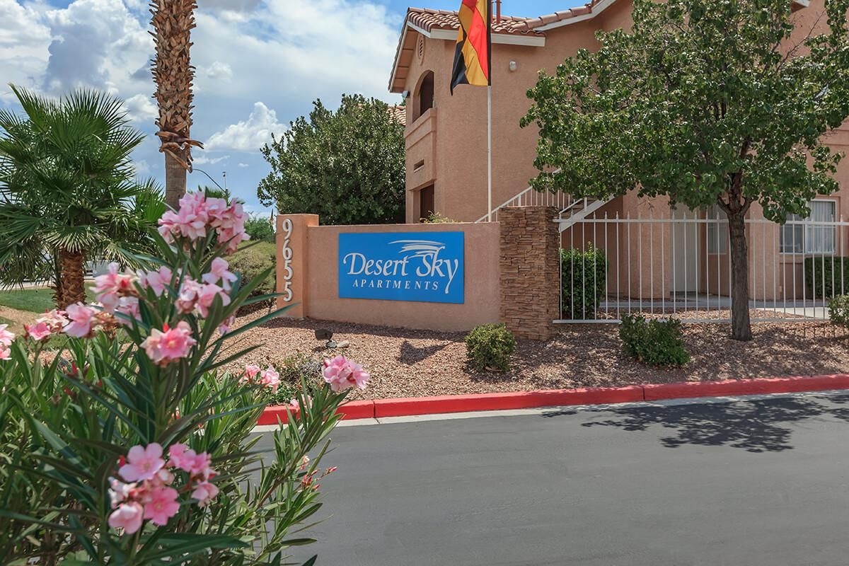 Desert Sky Photo Gallery