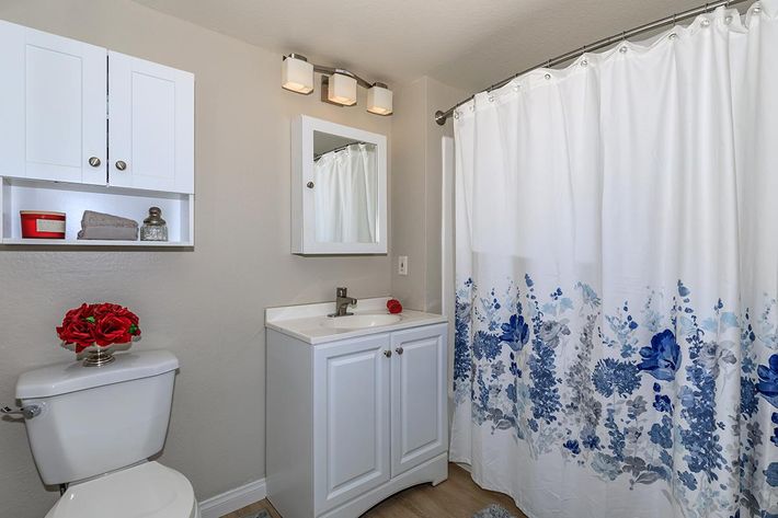 Bathroom with white and blue shower curtain