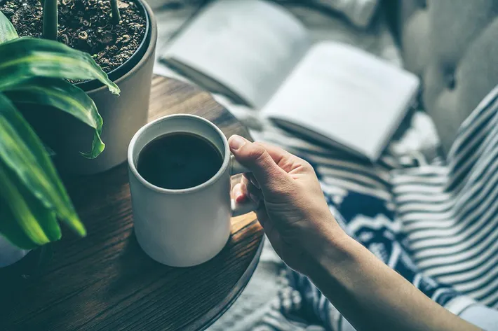 Comfy homes at South Front In Wilmington, North Carolina.