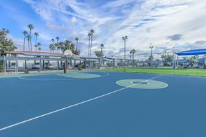 Outdoor blue and green basketball court with tall palm trees around it