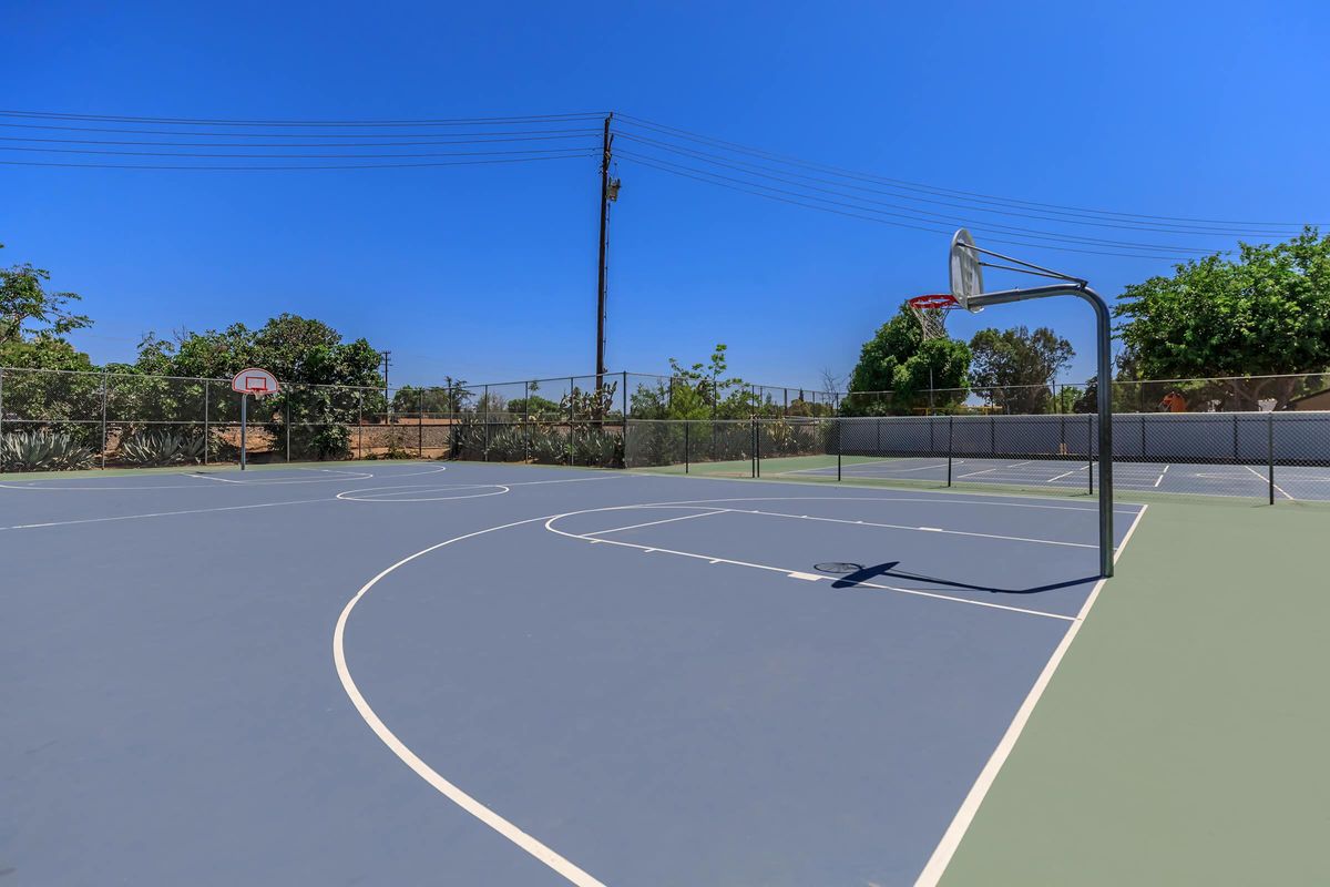 The Parks at Fig Garden basketball court