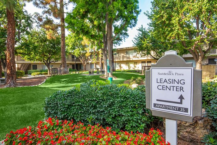 Saddleback Pines Apartment Homes leasing office sign