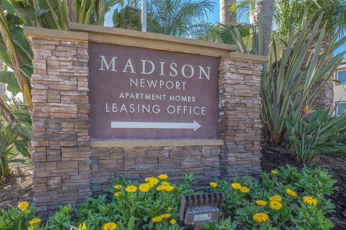 MADISON NEWPORT APARTMENTS FOR RENT