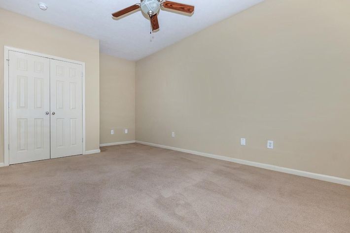 PLUSH CARPETING AND CEILING FANS