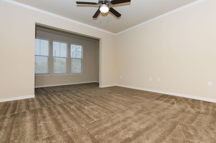 PLUSH CARPETING IN TWO BEDROOM APARTMENTS FOR RENT
