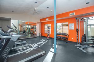 STATE-OF-THE-ART FITNESS CENTER AT PEAR TREE APARTMENTS