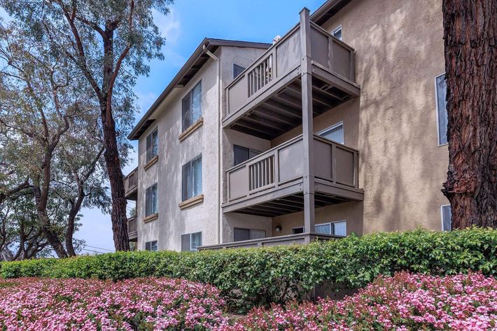 Trabuco Woods Apartment Homes community building with pink flowers