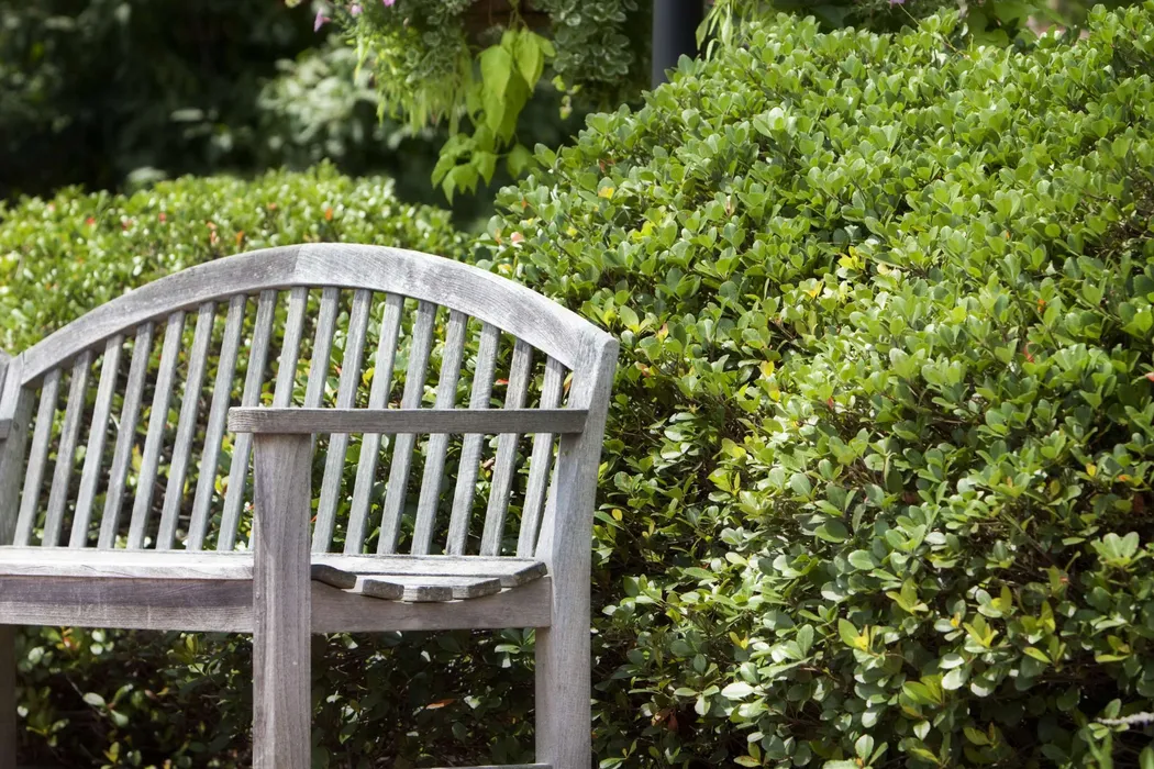 Community Amenities cover photo