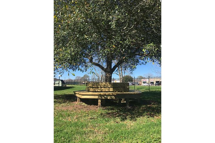 a bench in front of a tree