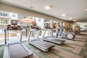 treadmills in the community gym