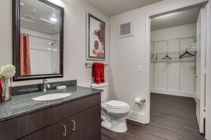 bathroom with open walk-in closet door
