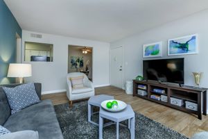 Living Room with Designer Accent Wall - The Ivy Apartments - Greenville - South Carolina