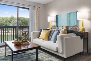 Living Room with Natural Light - Edgewater Village Apartments - Greensboro - North Carolina