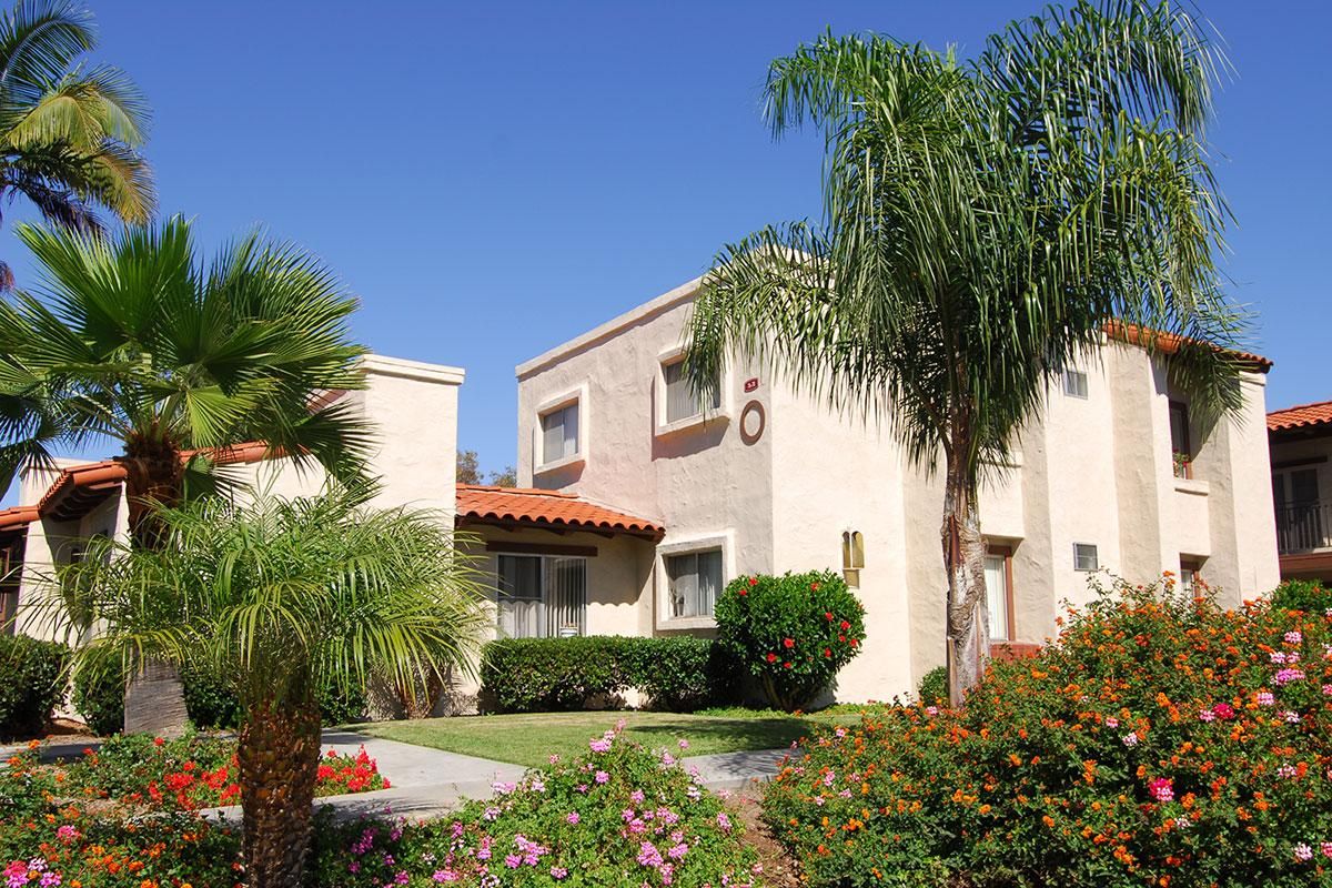 a house with bushes in front of a palm tree