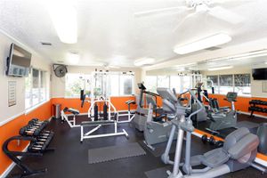 work-out equipment in the community gym
