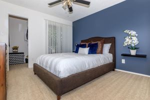carpeted bedroom with open closet door