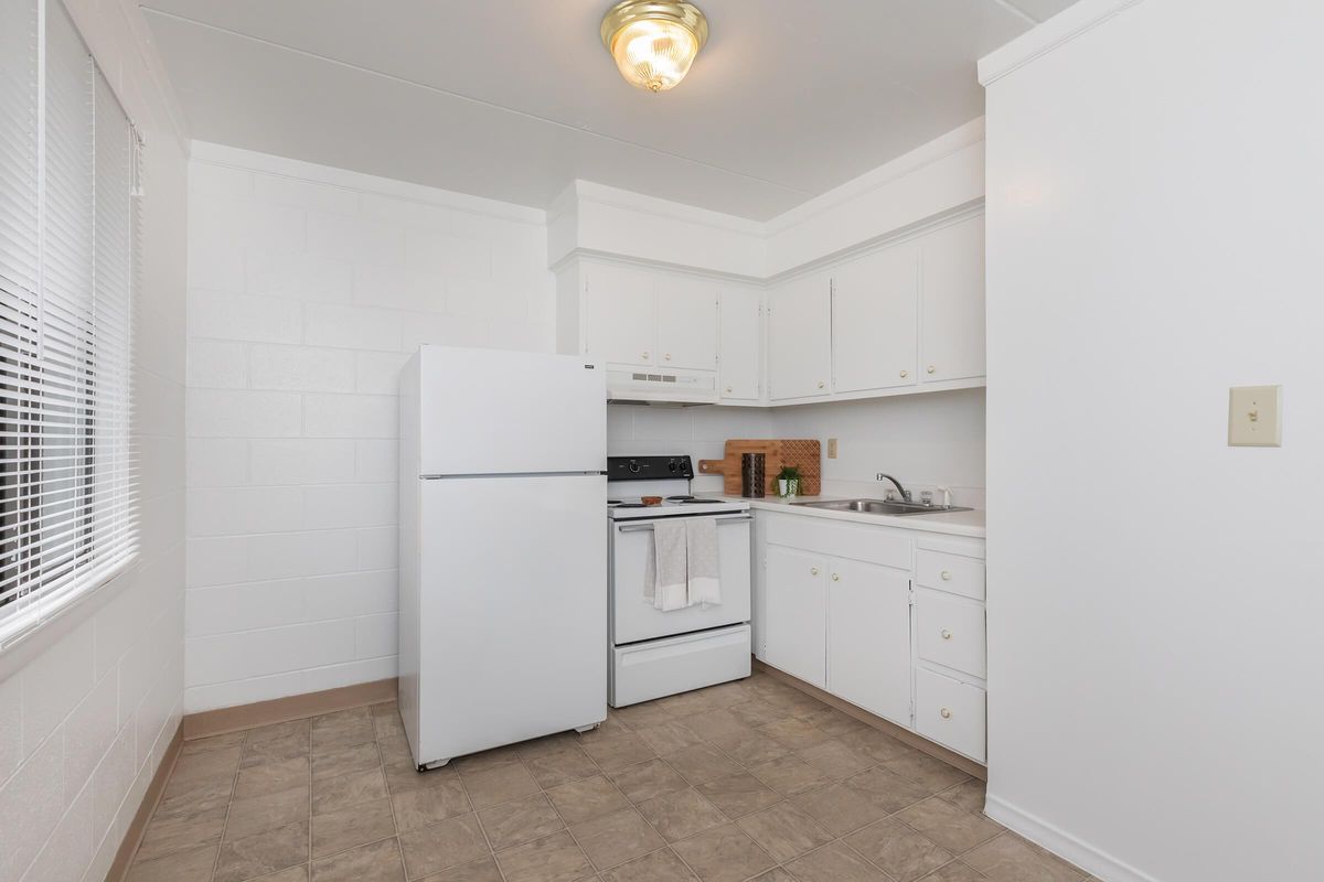 MINI AND VERTICAL BLINDS