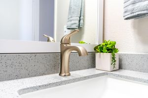 Gold  tone sink faucet next to a plant