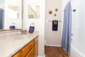bathroom with wooden cabinets
