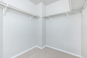 vacant walk-in closet
