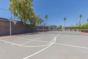 Outdoor basketball court with palm trees in the distance