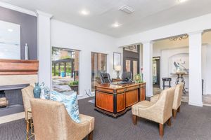A modern lobby area featuring a reception desk made of dark wood, surrounded by cozy beige chairs. The space is well-lit with natural light, plants, and decorative items. A fireplace is visible on one side, and large windows provide views of the outside area, creating a welcoming atmosphere.