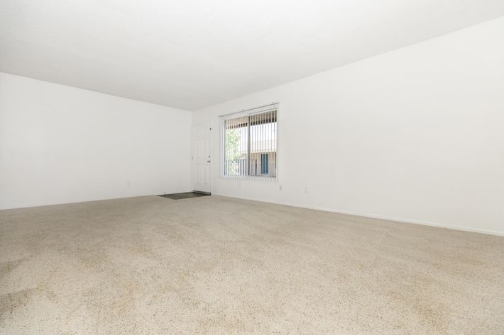 Carpeted living room