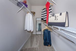 carpeted walk-in closet