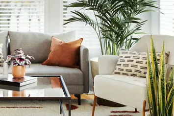 Apartment Features cover photo