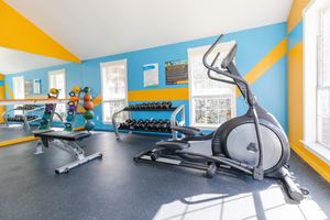 Palisades at Bear Creek community gym with an elliptical